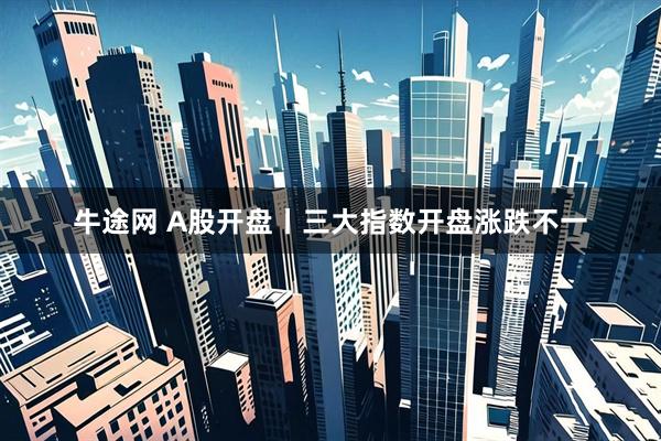 牛途网 A股开盘丨三大指数开盘涨跌不一