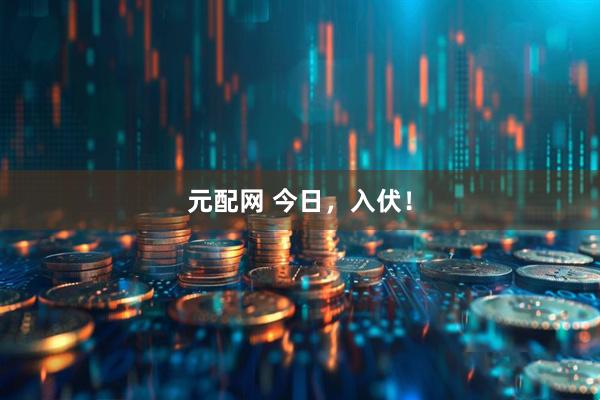 元配网 今日，入伏！